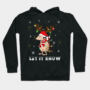 Hedgehog Let It Snow Christmas Dog Lights Hoodie